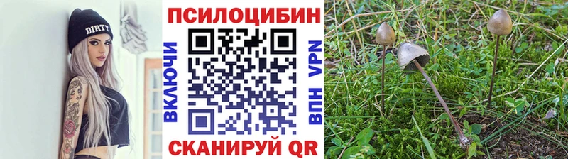 Псилоцибиновые грибы Magic Shrooms Саранск