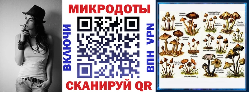 купить цена Саранск Галлюциногенные грибы MAGIC MUSHROOMS